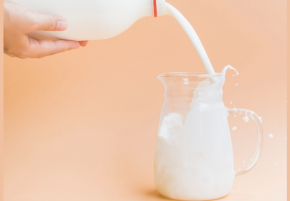 The Science of Purity: How Arna Dairy Guarantees Quality in Every Drop