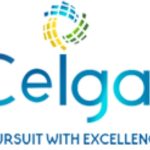 Ceigall India secures ₹274 crore road construction contract in Arunachal Pradesh