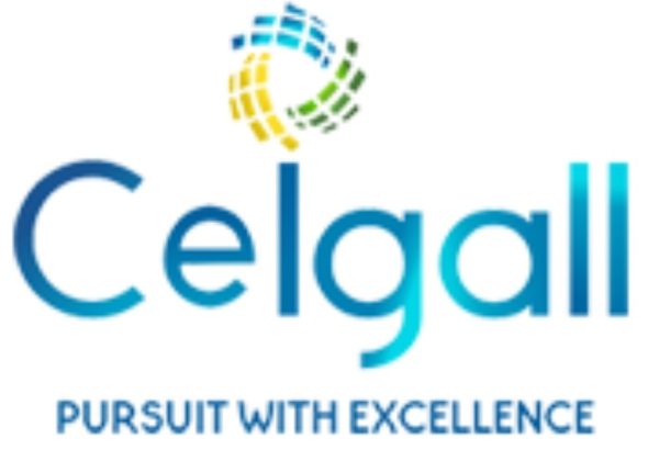 Ceigall India secures ₹274 crore road construction contract in Arunachal Pradesh