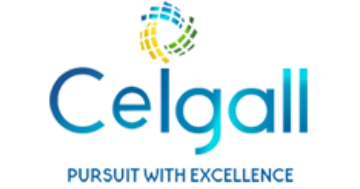Ceigall India secures ₹274 crore road construction contract in Arunachal Pradesh