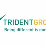 Trident Ltd