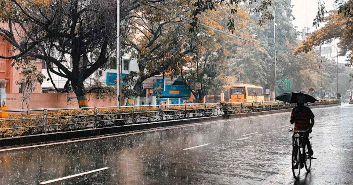 Weather News